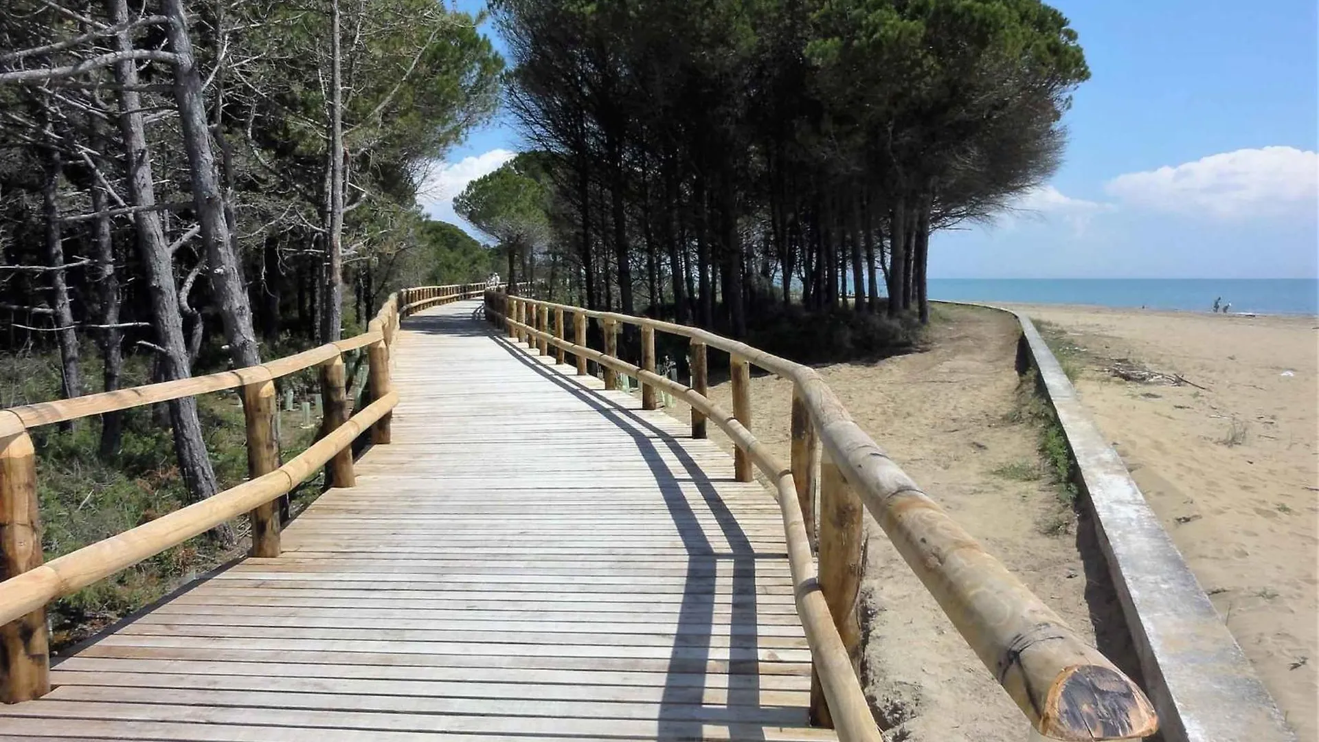 Apartment In Bibione 53642